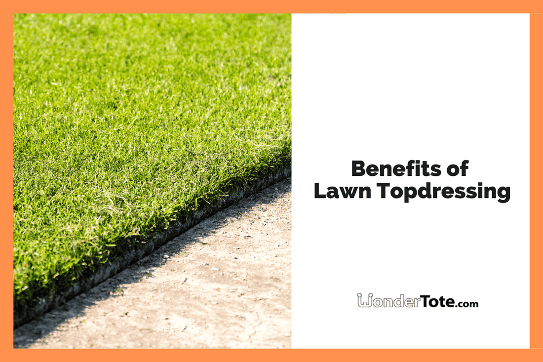 Lawn Topdressing Calgary