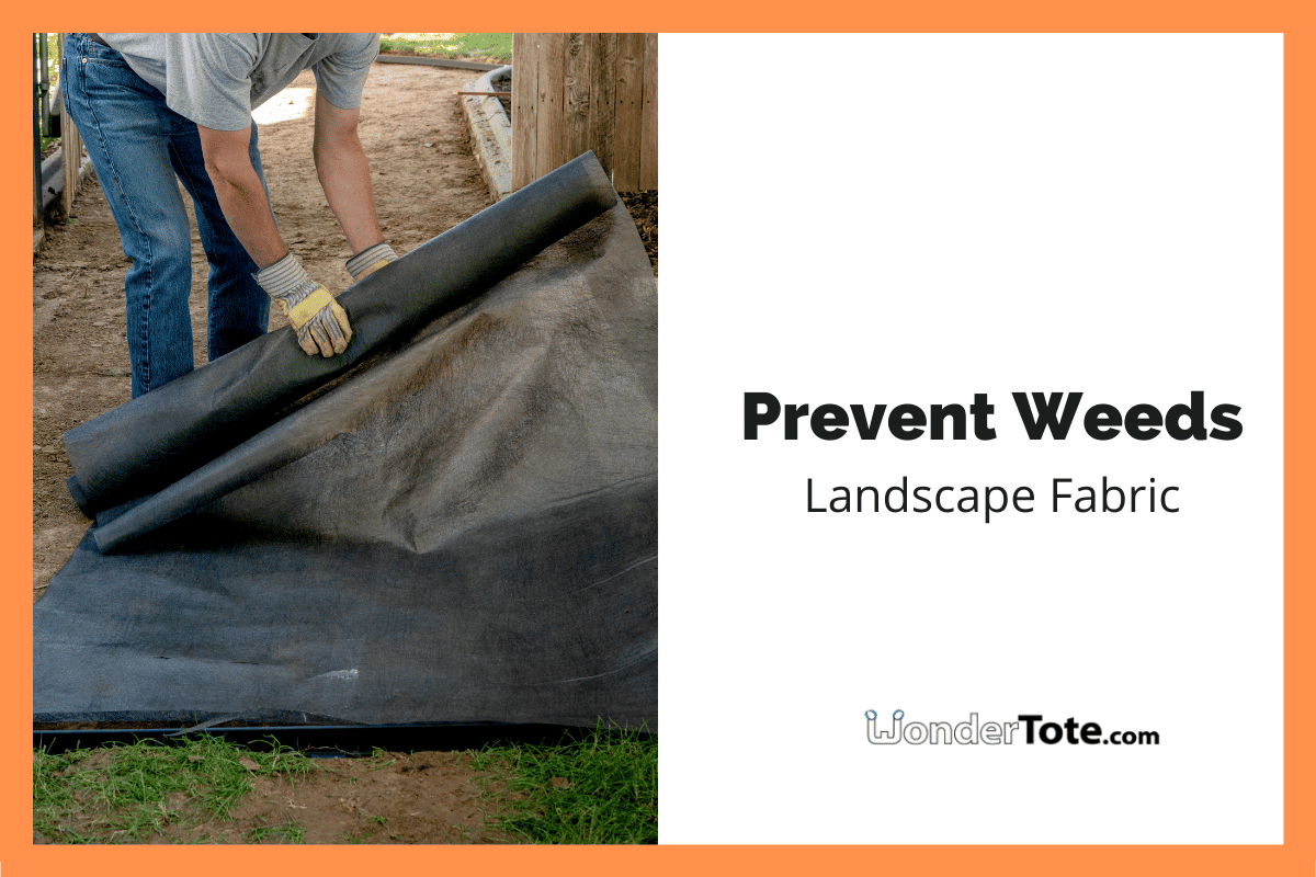 Weed Prevention Calgary