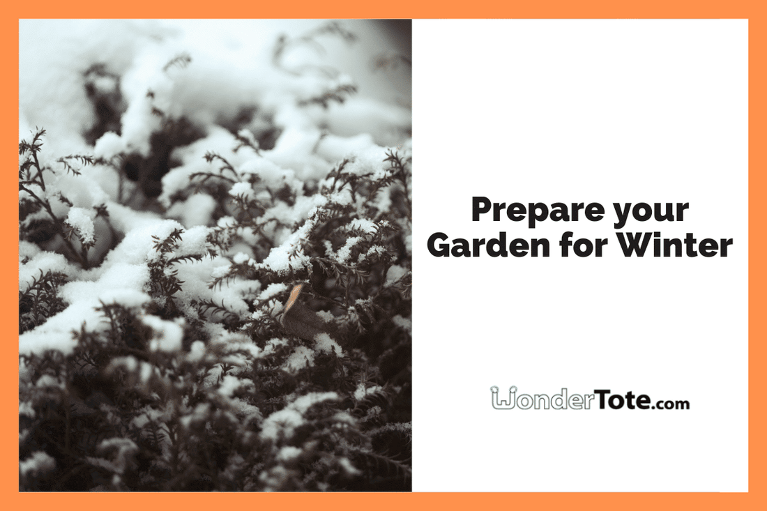 Winter Garden Preparation in Calgary