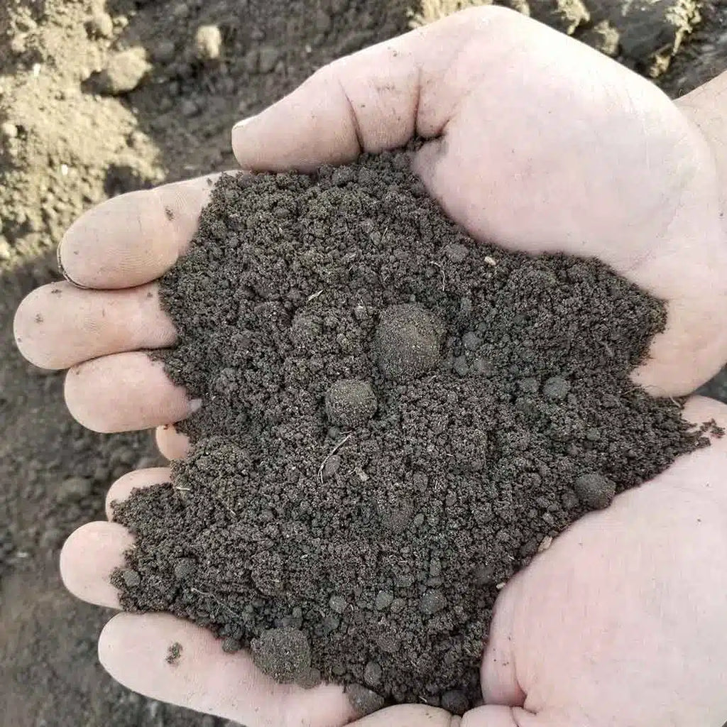 Screened Loam