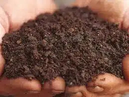 Queen Of Show Potting Mix