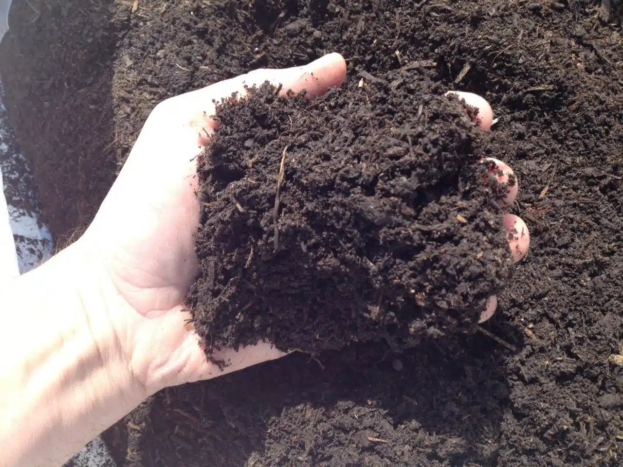 Woodlands Garden Mix