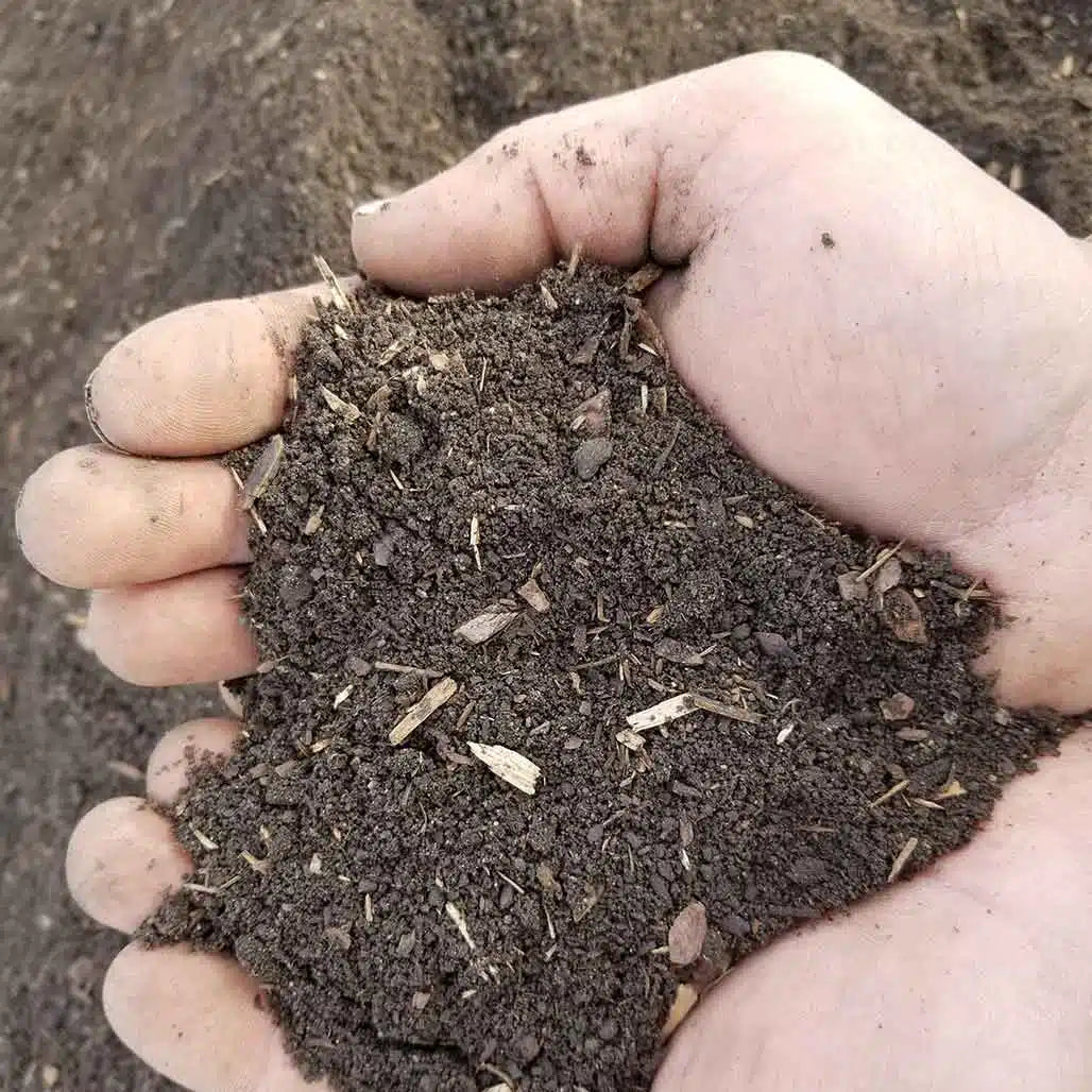 Woodlands Garden Mix