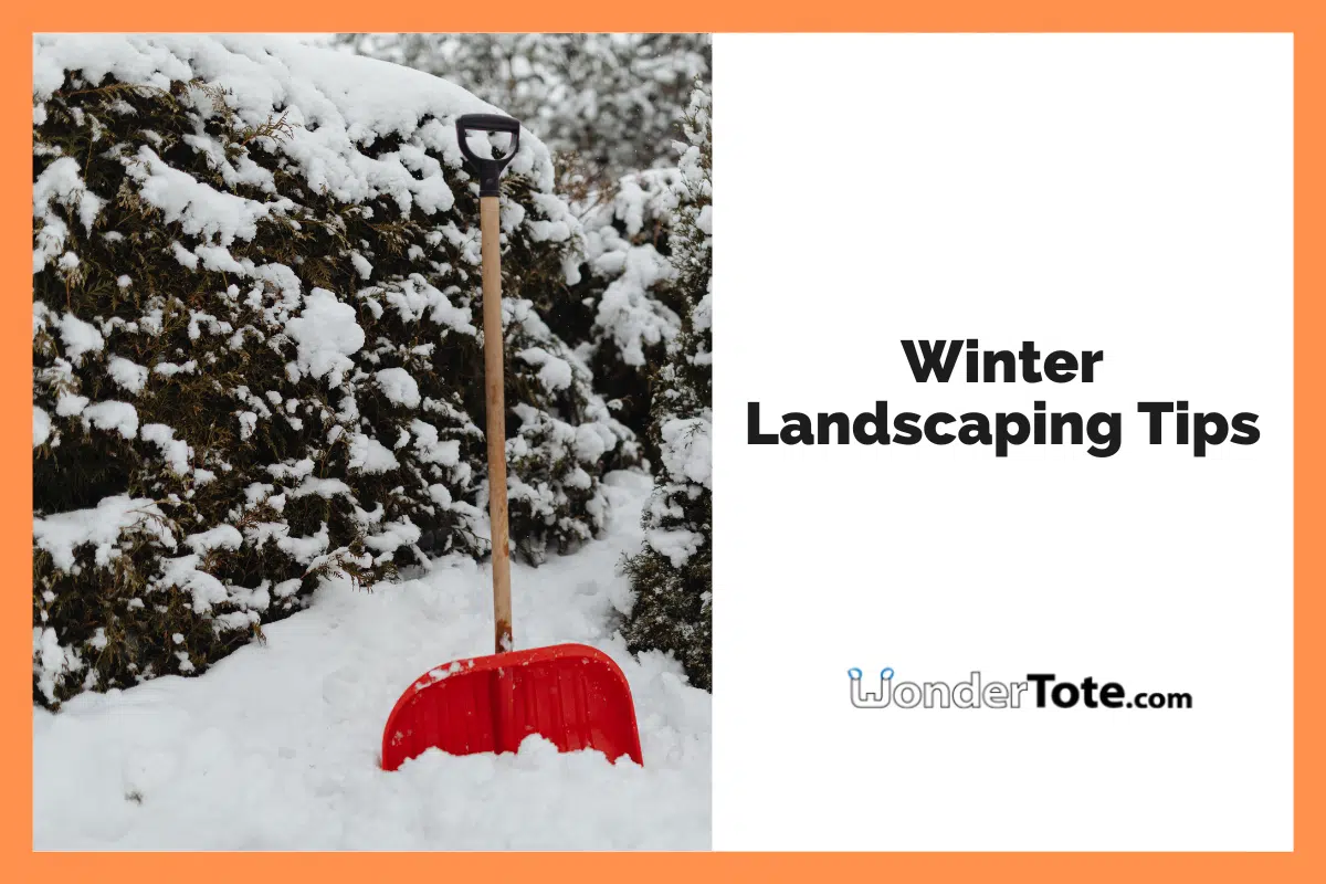 Winter Landscaping